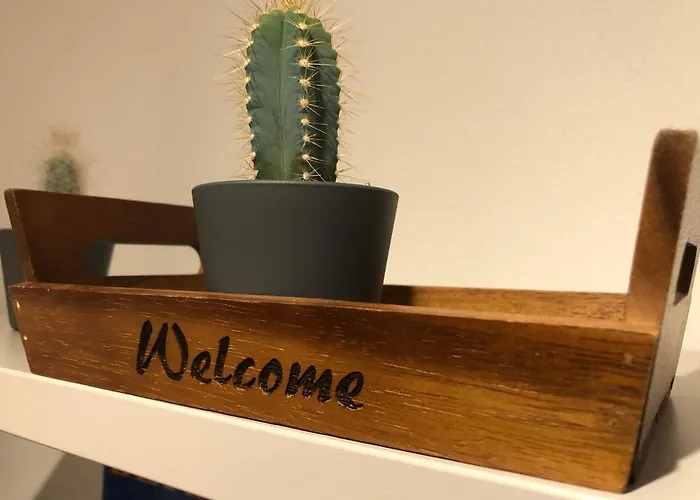 Center With Mountain View Apartmán *